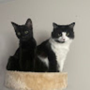 Meet your Posher, Tanja